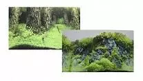 Фон двусторонний Prime Затопленный лес, Камни с растениями 30*60 см