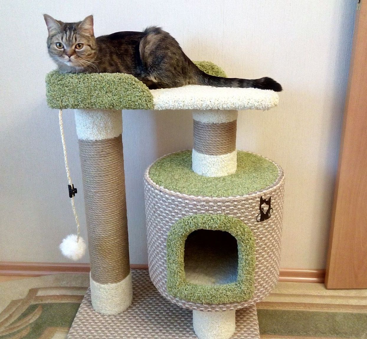 картинки когтеточки для кошек с домиком