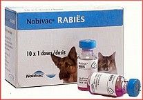 Вакцина для животных Нобивак Rabies для профилактики бешенства, 1 ампула