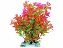 Растение для аквариума Уют Людвиния розово-зеленая 20 см