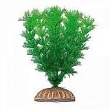 Растение декоративное Тритон 1014, пластик, 10 см 